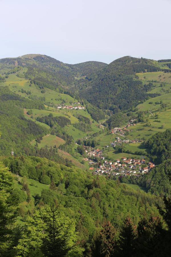Schönau im Schwarzwald Hotel Kirchbuehl Im Schwarzwald Hotel מראה חיצוני תמונה